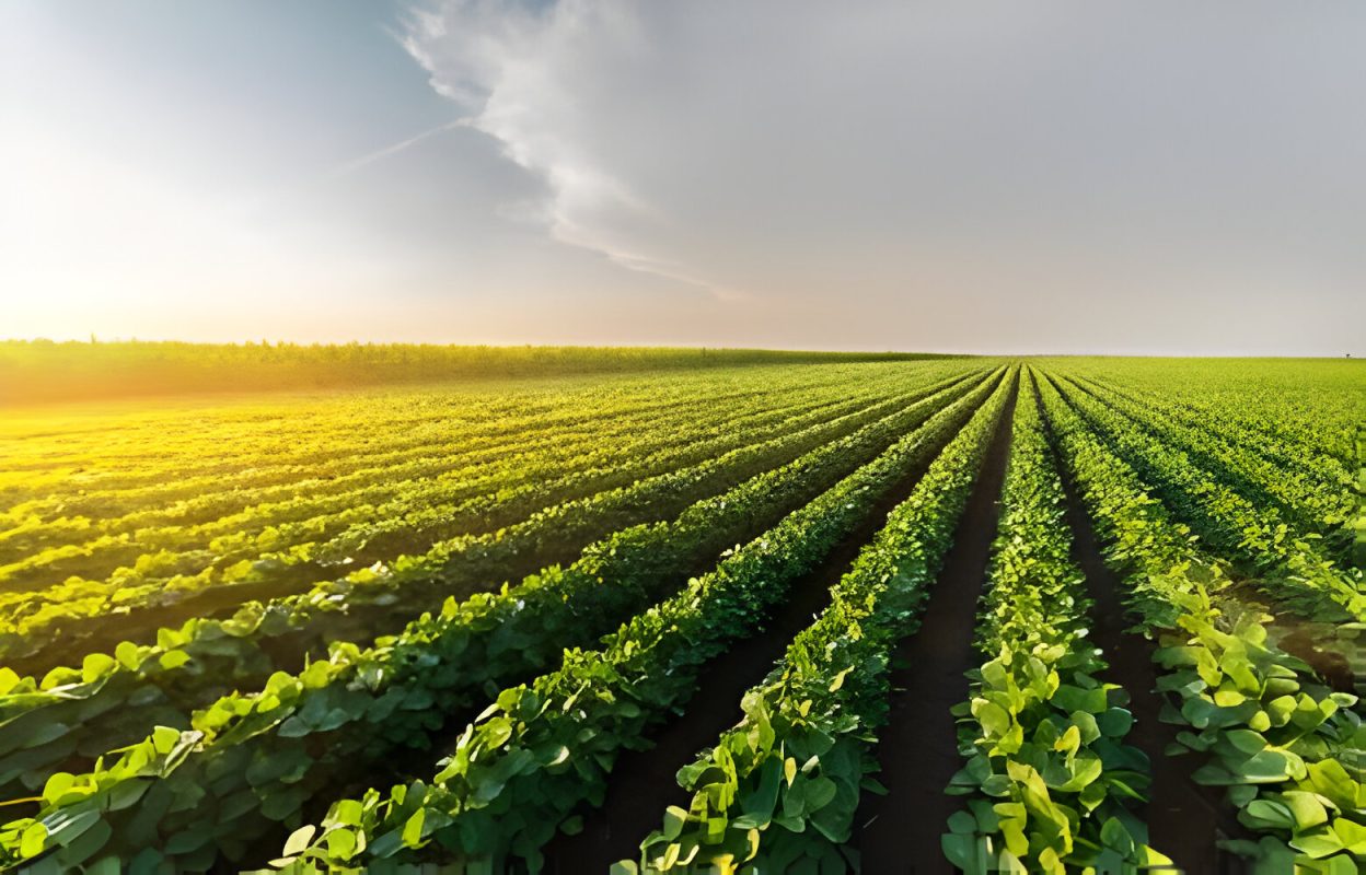 Agriculture