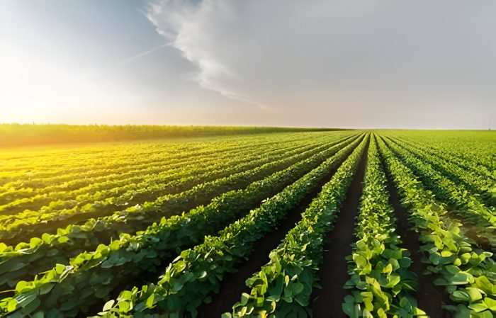 Agriculture